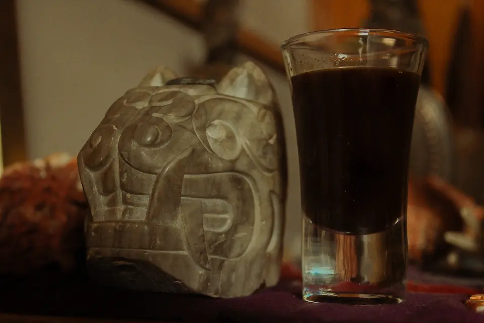 Ayahuasca ancestral medicine
