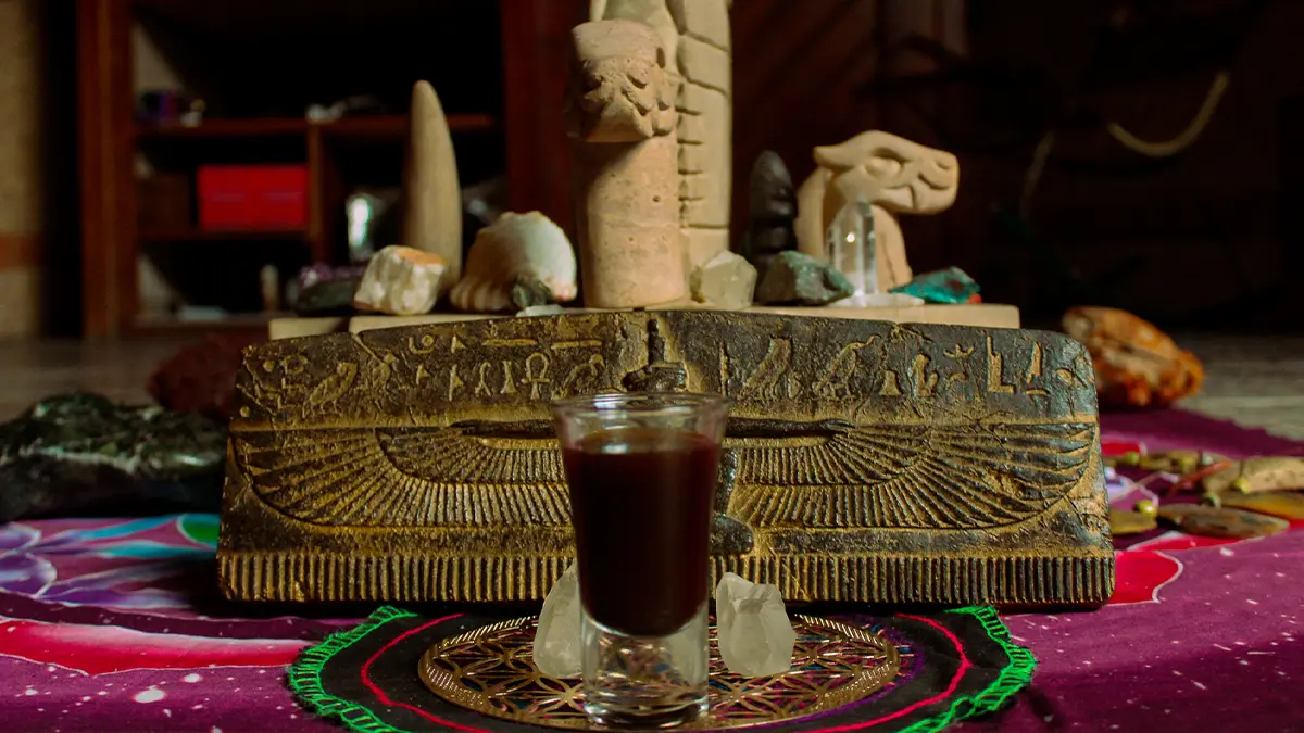 Mi Primera Ceremonia de Ayahuasca con el Maestro Dan